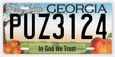 GA license plate PUZ3124