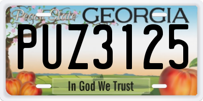 GA license plate PUZ3125