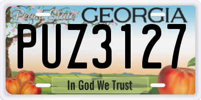 GA license plate PUZ3127