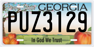 GA license plate PUZ3129