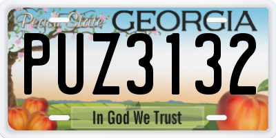 GA license plate PUZ3132