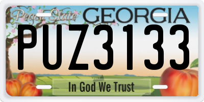 GA license plate PUZ3133