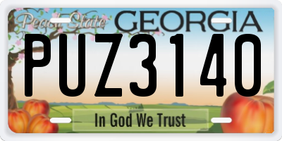 GA license plate PUZ3140