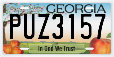 GA license plate PUZ3157