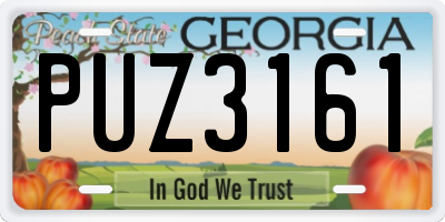 GA license plate PUZ3161