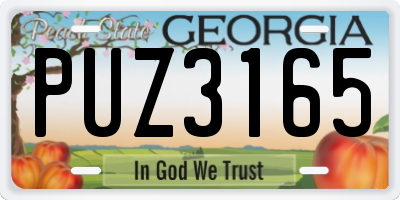 GA license plate PUZ3165