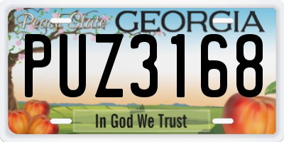 GA license plate PUZ3168
