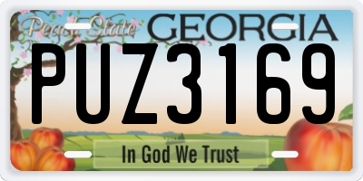 GA license plate PUZ3169