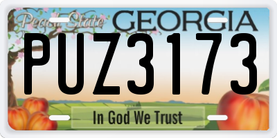 GA license plate PUZ3173