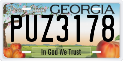 GA license plate PUZ3178