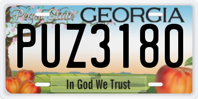 GA license plate PUZ3180