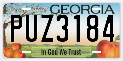 GA license plate PUZ3184