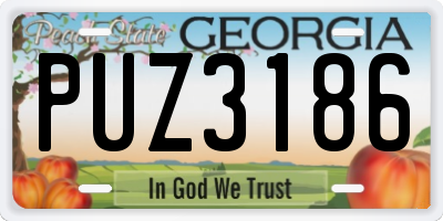 GA license plate PUZ3186