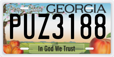 GA license plate PUZ3188