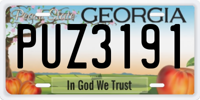 GA license plate PUZ3191