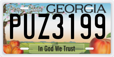 GA license plate PUZ3199