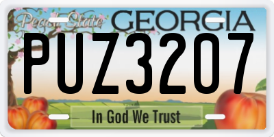 GA license plate PUZ3207