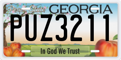 GA license plate PUZ3211