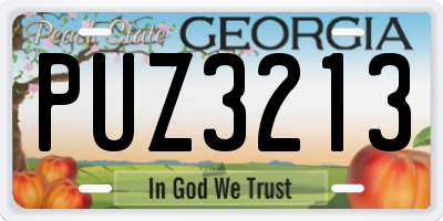 GA license plate PUZ3213