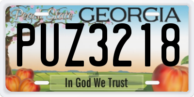GA license plate PUZ3218