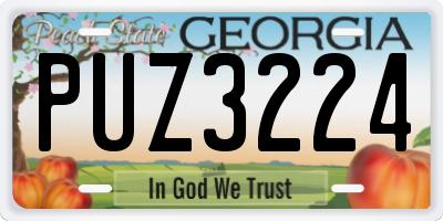 GA license plate PUZ3224