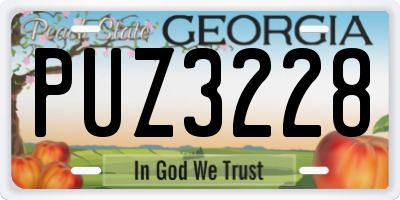 GA license plate PUZ3228