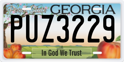 GA license plate PUZ3229