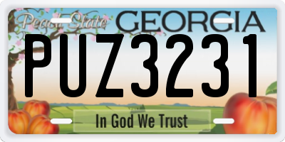 GA license plate PUZ3231