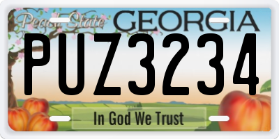 GA license plate PUZ3234