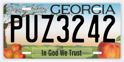 GA license plate PUZ3242