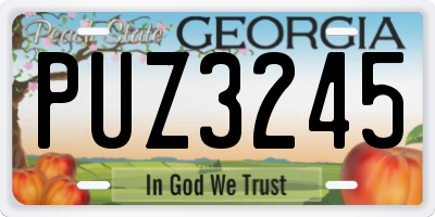 GA license plate PUZ3245
