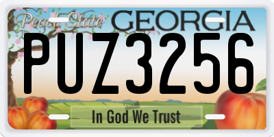 GA license plate PUZ3256