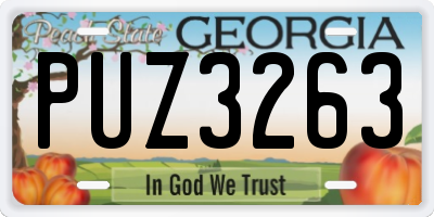 GA license plate PUZ3263