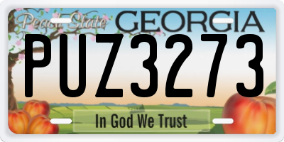GA license plate PUZ3273