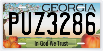 GA license plate PUZ3286
