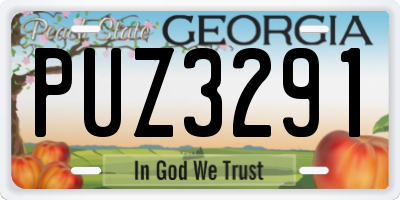 GA license plate PUZ3291