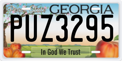GA license plate PUZ3295