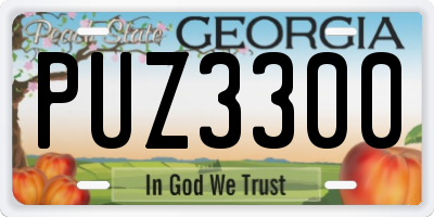 GA license plate PUZ3300
