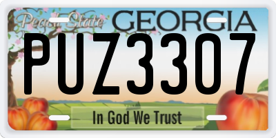 GA license plate PUZ3307