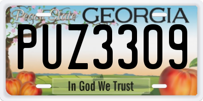 GA license plate PUZ3309