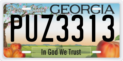 GA license plate PUZ3313