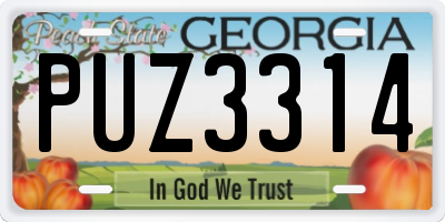 GA license plate PUZ3314