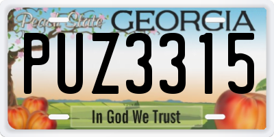 GA license plate PUZ3315