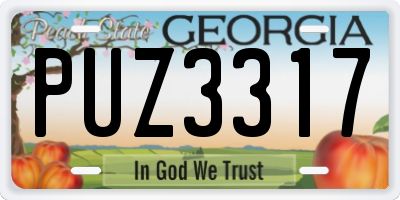 GA license plate PUZ3317