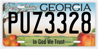 GA license plate PUZ3328