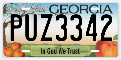 GA license plate PUZ3342