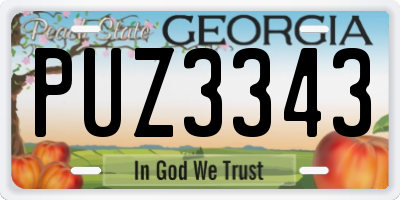 GA license plate PUZ3343
