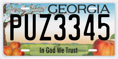 GA license plate PUZ3345