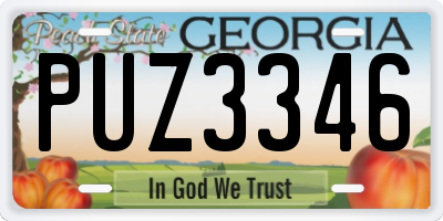 GA license plate PUZ3346