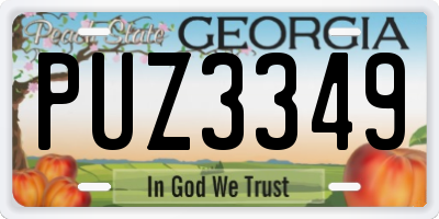 GA license plate PUZ3349